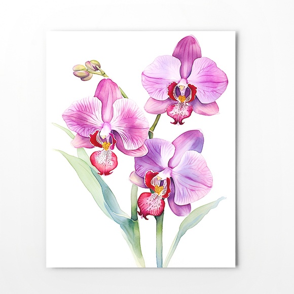 Watercolor Orchids Wall Art Illustration Print Poster Unframed - Picture 6 of 6